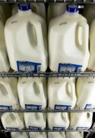 Free gallon milk