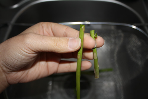 1-asparagus-casserole