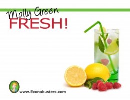 MollyFresh_Cover-300x231