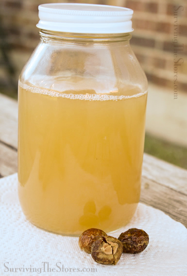 How to use soap nuts to make laundry detergent, household cleaner, shampoo, body wash, and even toothpaste!
