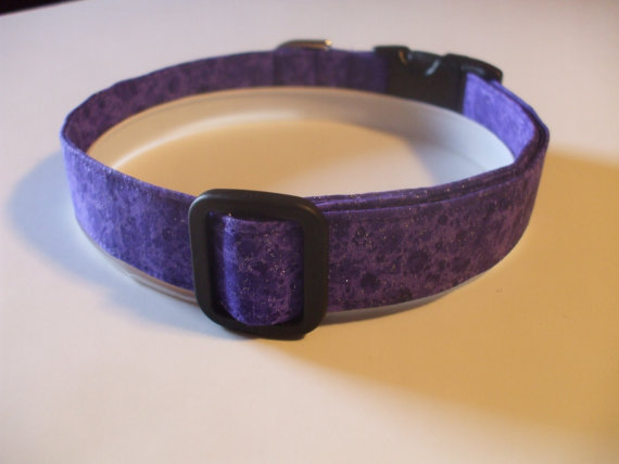 collar1