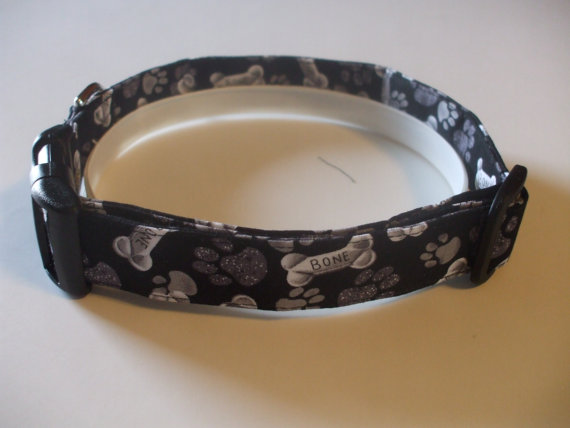 collar2