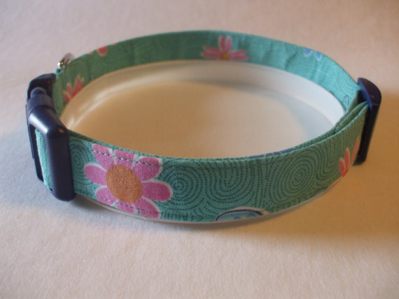 collar3