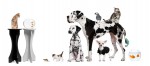 Pet-Deals-Pic Pet-Deals-Pic