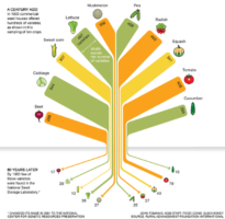 food_variety_tree