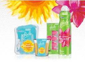 Glade Spring Collection