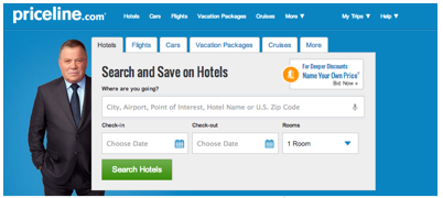Priceline Hotels Main Text Box