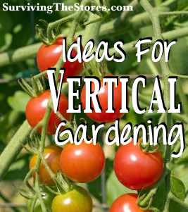 Tip #5: Use Vertical Space {Surviving The Stores Through Gardening}