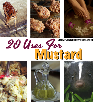 LOTS of uses for mustard. There are so many ways to use mustard and you can get it for FREE at many stores with coupons!