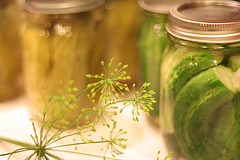 pickles