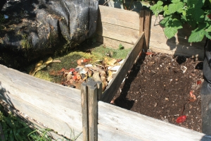 Use tea bags in your compost pile for an acid rich compost!