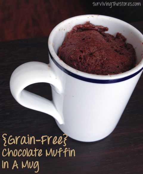 Grain Free Chocolate Mug Muffin