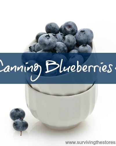 How To Can Blueberries With A Sugar Syrup & Without A Sugar Syrup!