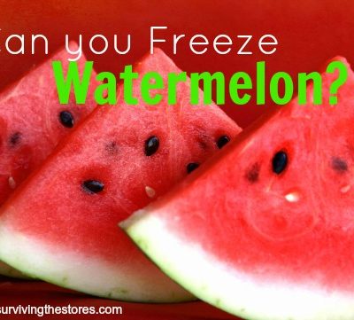 Can You Freeze Watermelon?  YES!  Here’s how…