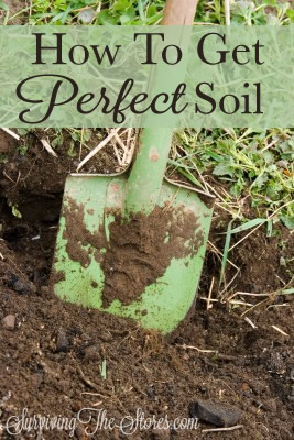 How To Get Perfect Soil