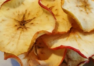 Dried apple chips are so easy to make in the oven!