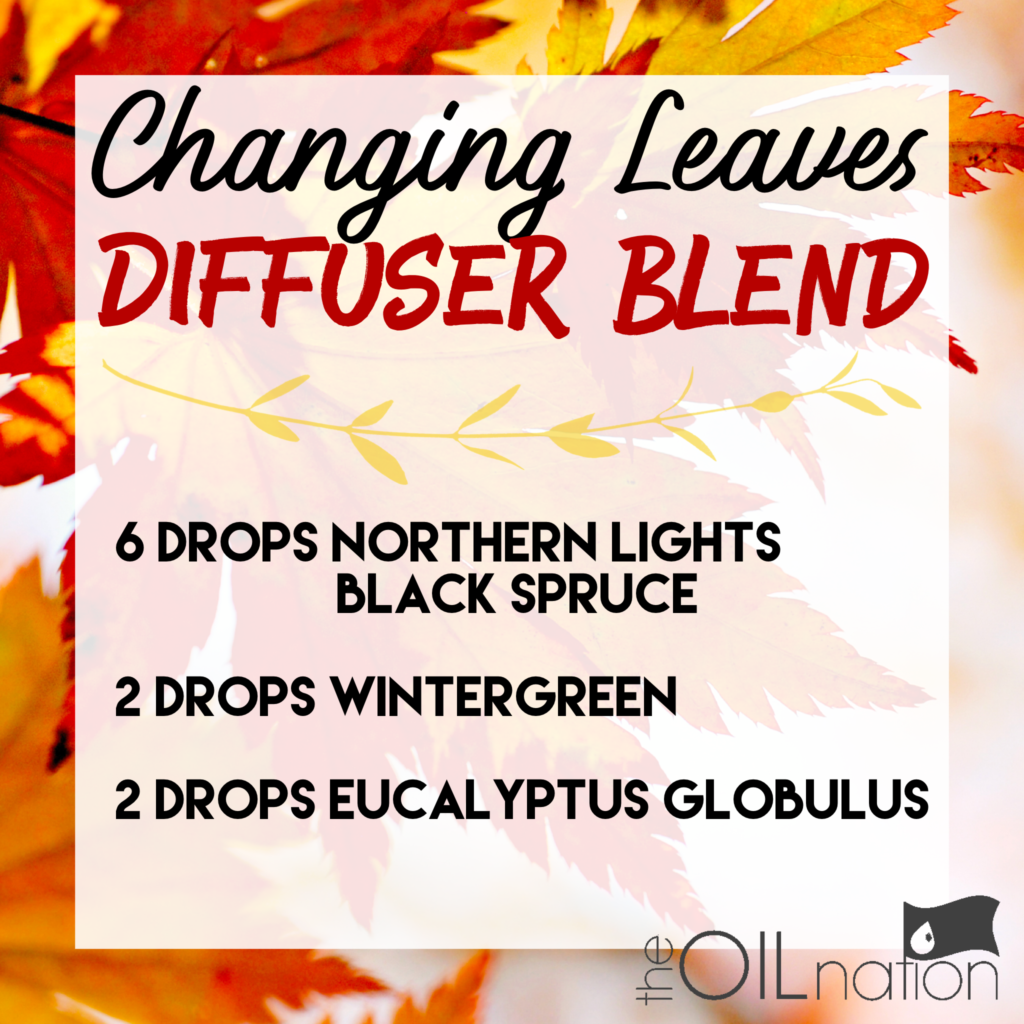 Changing Leaves Fall Diffuser Blend Essential Oils