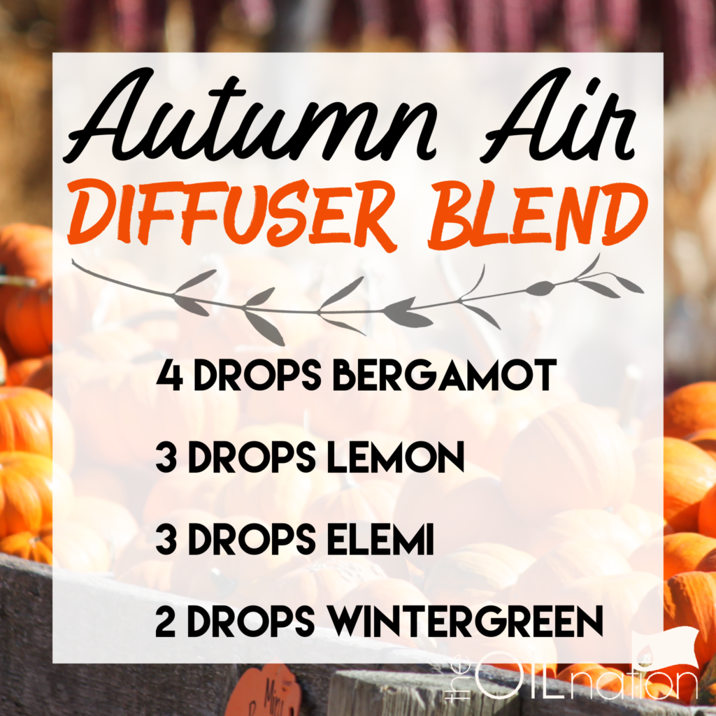 Autumn Air Diffuser Blend Essential Oils