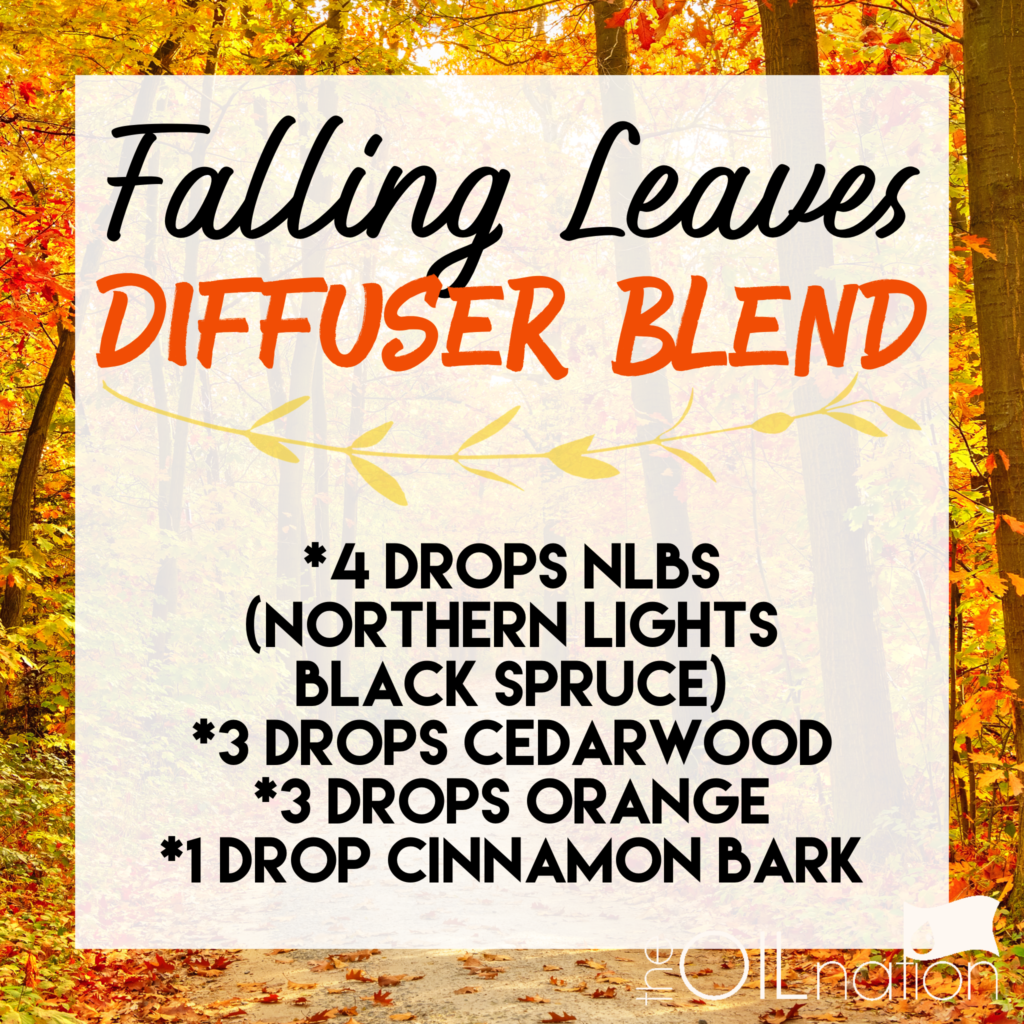 Falling Leaves Diffuser Blend Essential Oils